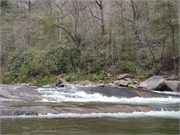 Wilsons Creek 30